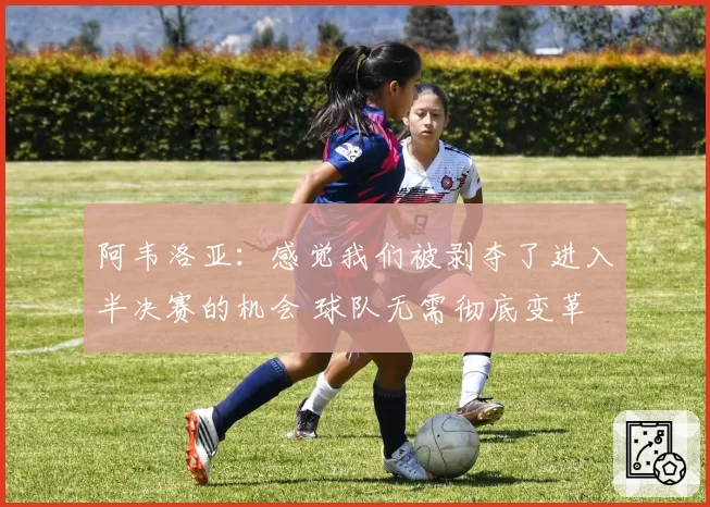 阿韦洛亚：感觉我们被剥夺了进入半决赛的机会 球队无需彻底变革