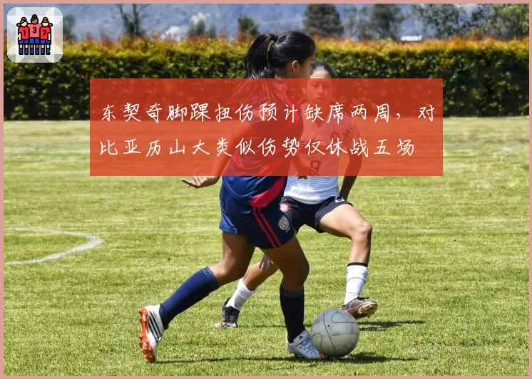 东契奇脚踝扭伤预计缺席两周，对比亚历山大类似伤势仅休战五场