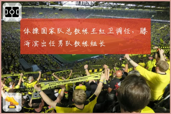 体操国家队总教练王红卫调任，滕海滨出任男队教练组长